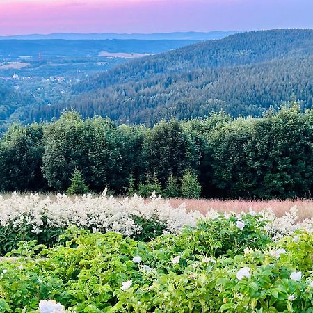 Apartamenty InnWersja Duszniki Zdrój Buitenkant foto