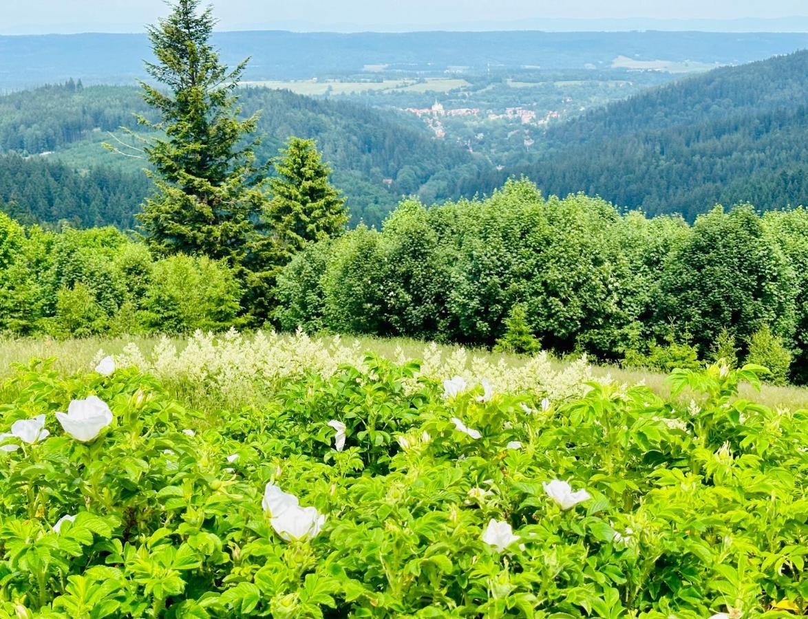 Apartamenty InnWersja Duszniki Zdrój Buitenkant foto