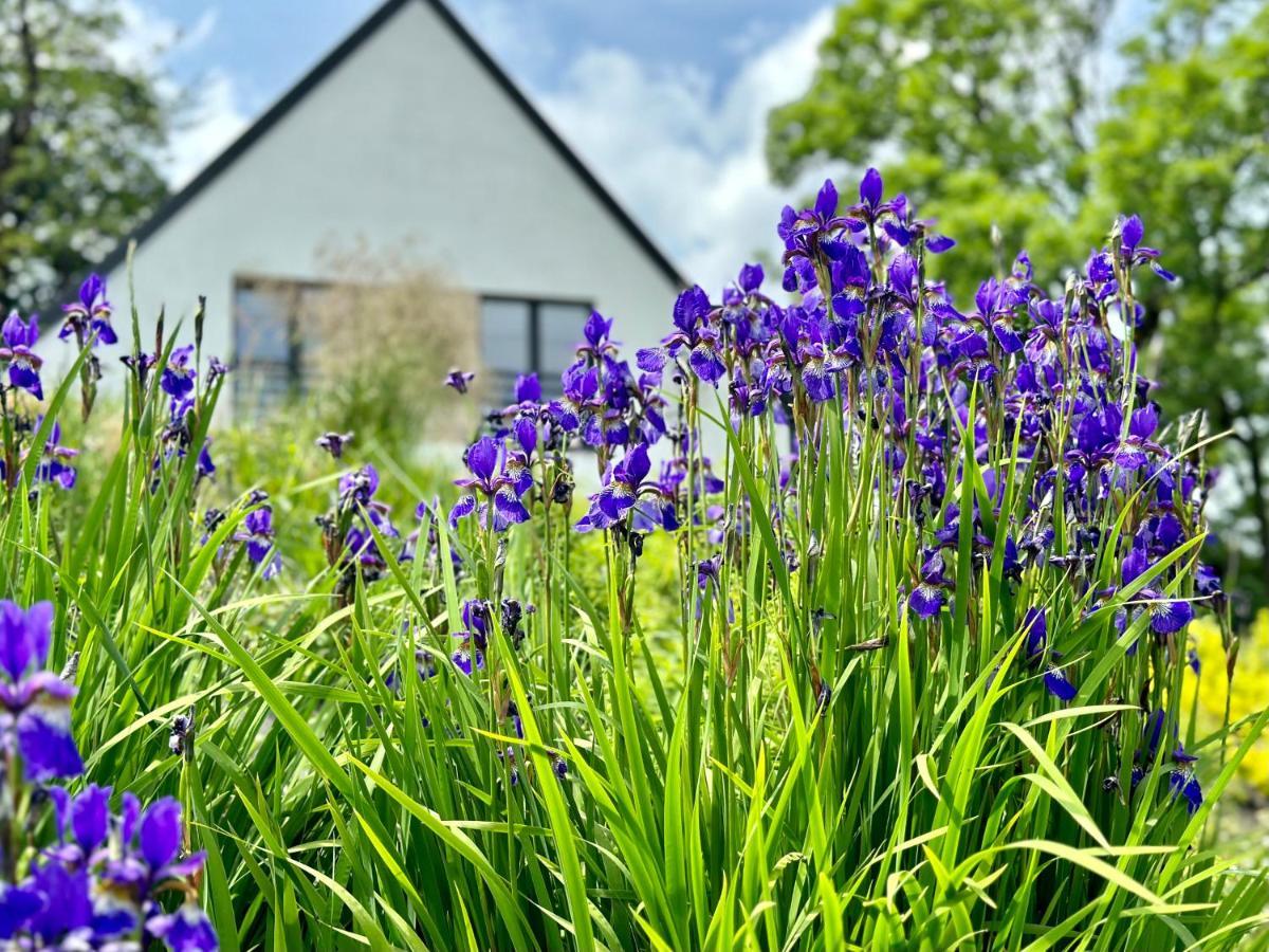 Apartamenty InnWersja Duszniki Zdrój Buitenkant foto