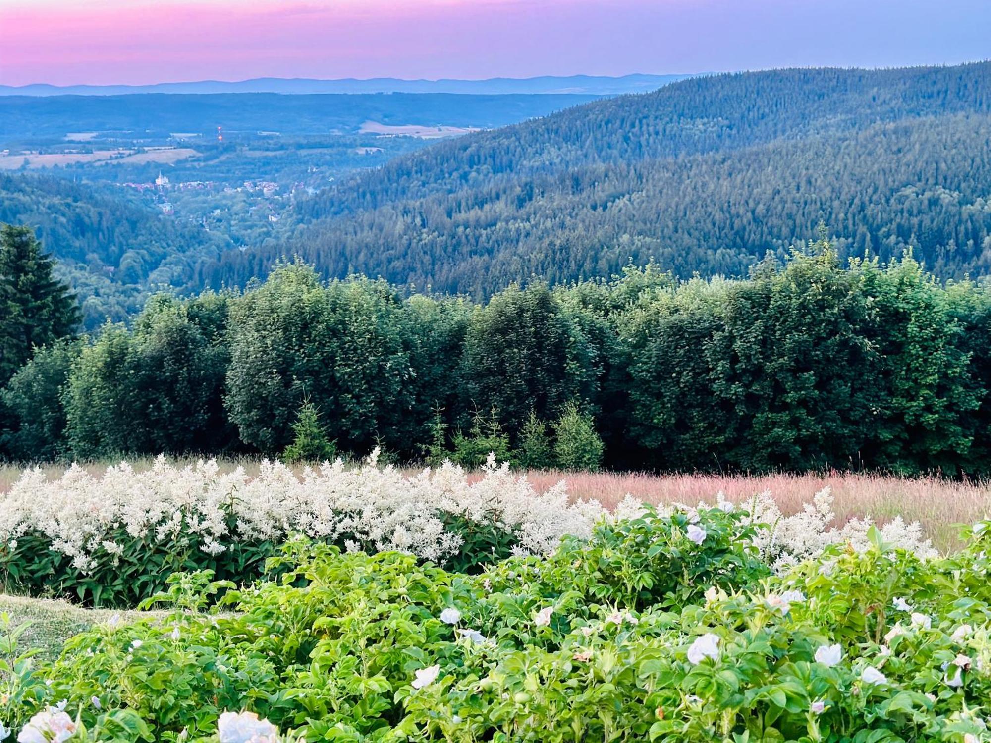 Apartamenty InnWersja Duszniki Zdrój Buitenkant foto