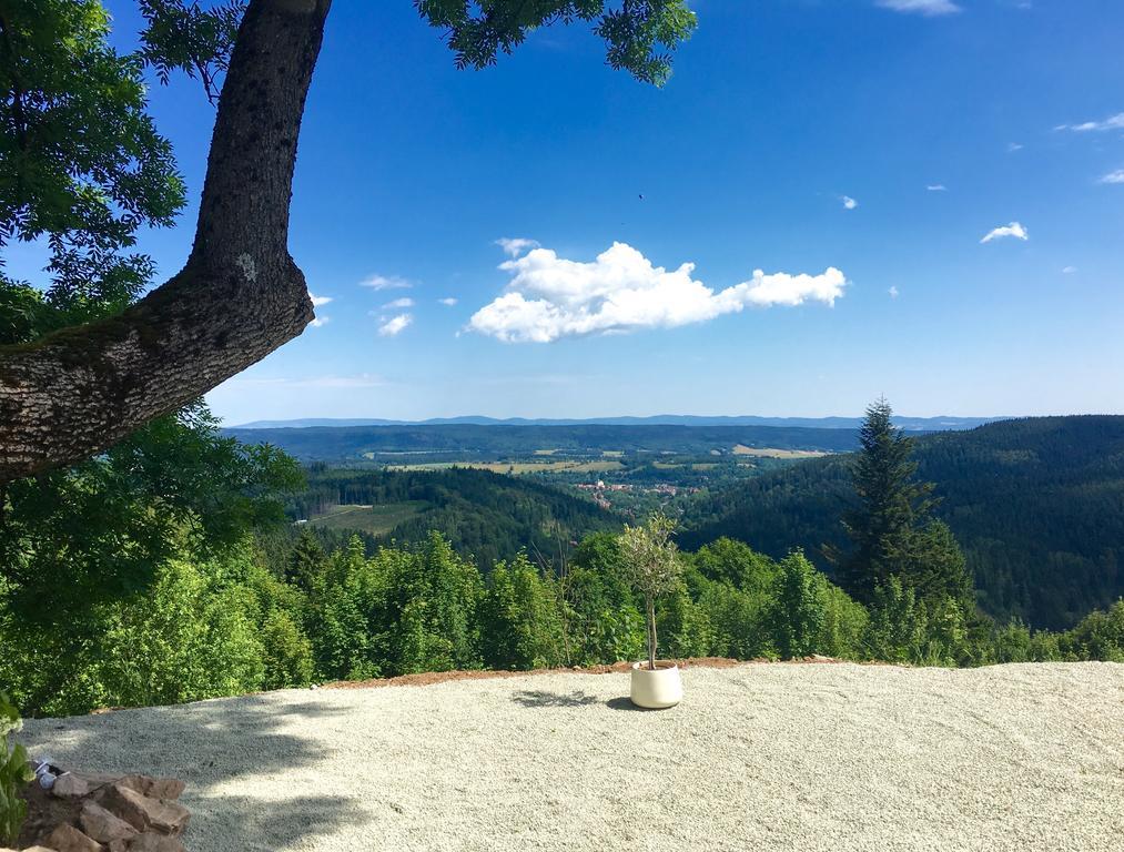 Apartamenty InnWersja Duszniki Zdrój Buitenkant foto