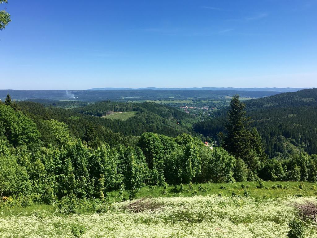 Apartamenty InnWersja Duszniki Zdrój Buitenkant foto
