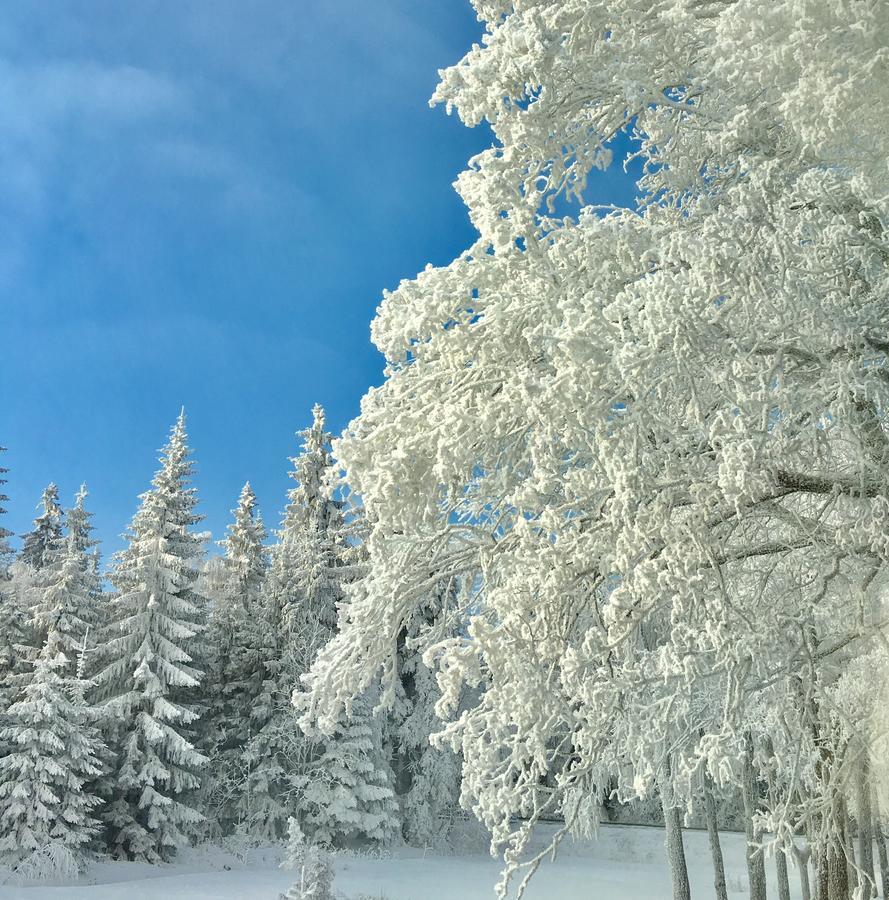Apartamenty InnWersja Duszniki Zdrój Buitenkant foto